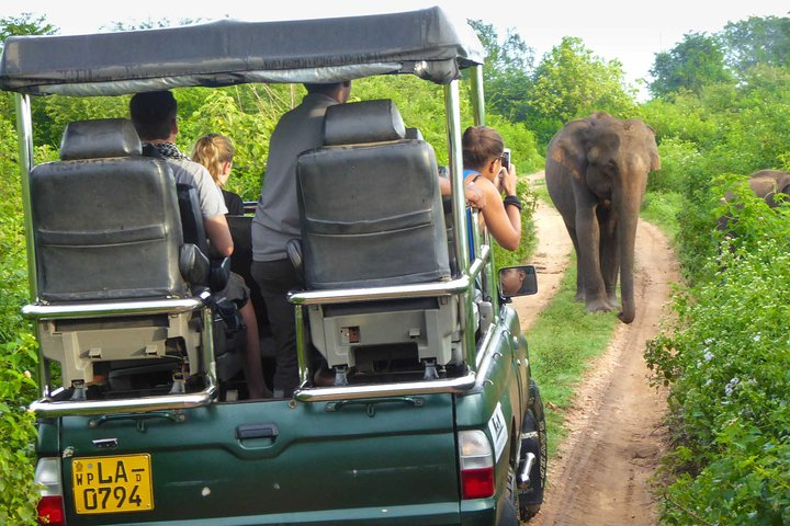 Safari at Udawalawe National Park - Photo 1 of 7